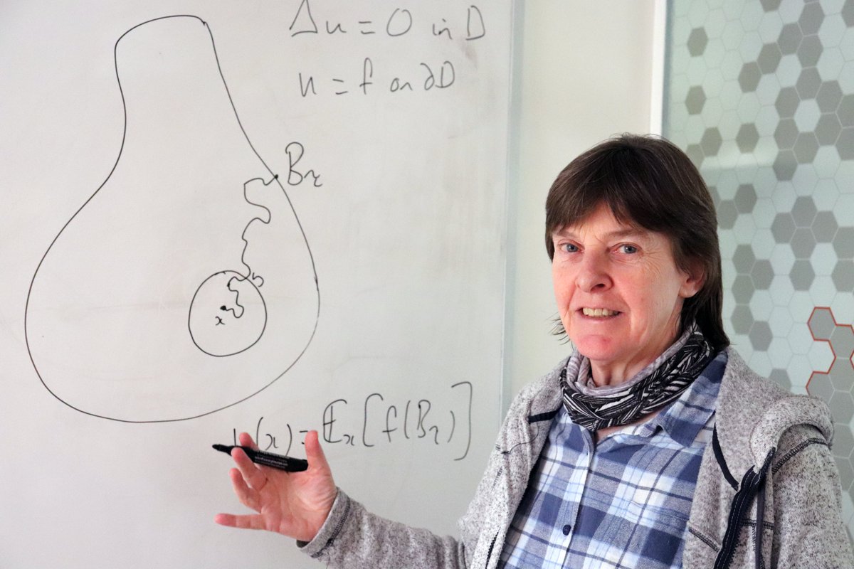 The newly created UK-wide Academy for the Mathematical Sciences today appointed Oxford Mathematician Alison Etheridge as its first President. The Academy's focus will be on mathematical sciences everywhere: in teaching & education, academic research, & business & government.