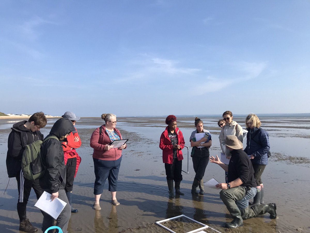 Brilliant few days of #Seagrass Survey Training with our volunteers and project partners! Locations included Seaview, Chilling Beach and Calshot. A huge thank you to all that joined us 🌱 @HantsIWWildlife @solentseascape @BoskalisWessie @wightlinkferry @UoPMarineBiol @EcoDrift