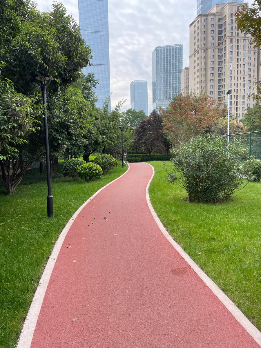 luaar22's tweet image. ““An early morning walk is a blessing for the whole day.”