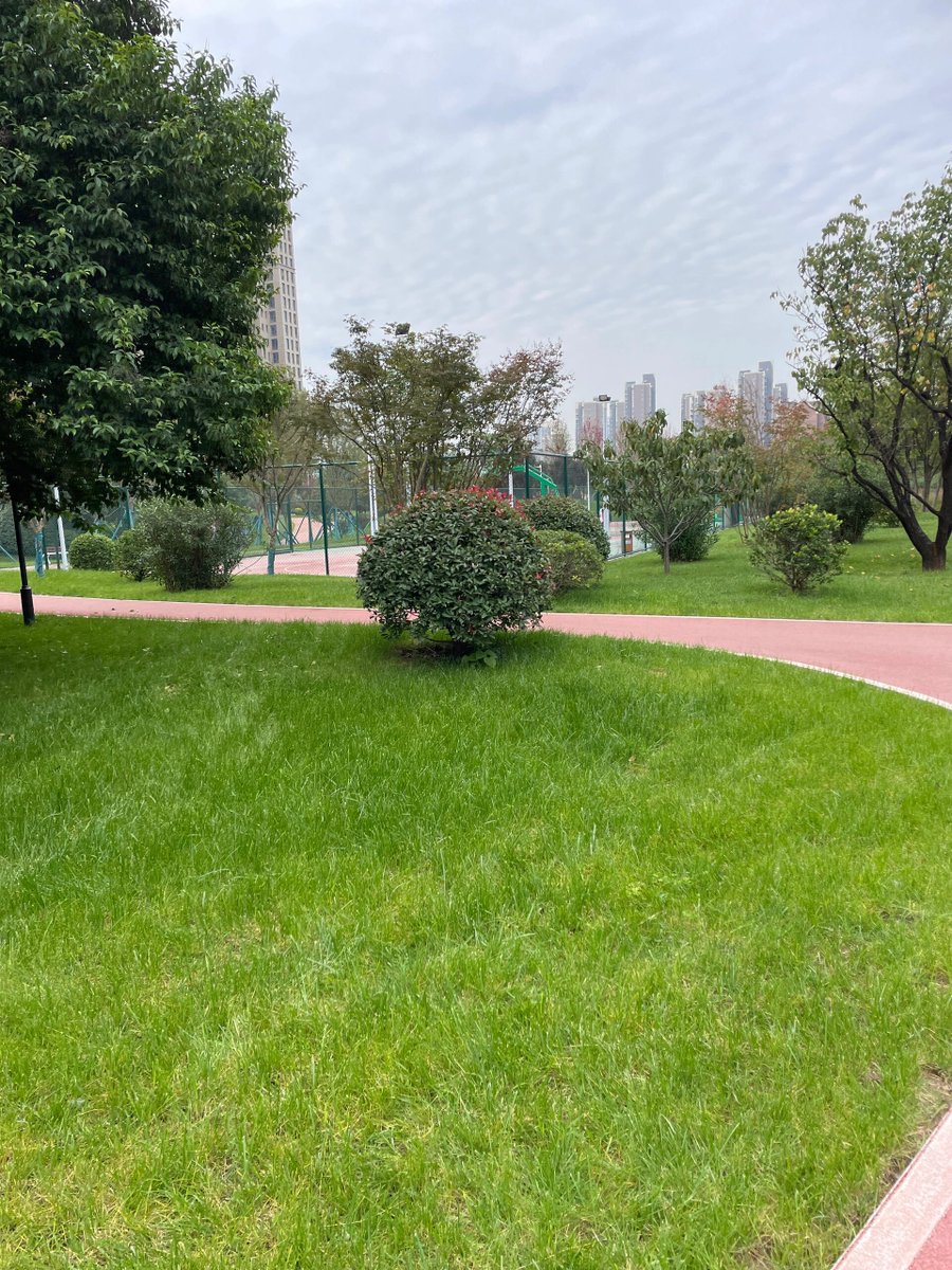 luaar22's tweet image. ““An early morning walk is a blessing for the whole day.”