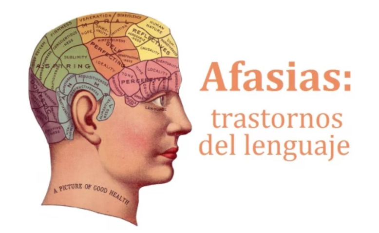 MdelMarlogopeda's tweet photo. La afasia es un trastorno del lenguaje que puede surgir como resultado de lesiones en áreas específicas del cerebro, como accidentes cerebrovasculares, traumatismos craneales o enfermedades neurodegenerativas. 
#uv_rtl23 https://t.co/qMJ8V1oxb0