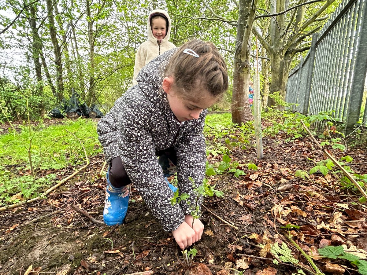 We visited Walkington Primary School! The School helped fill up packets of seeds for distribution around the county as well as planting some trees in their grounds! The children also got to take some wetland plant seeds home to use themselves! #littlehelpers #riverlution #trees