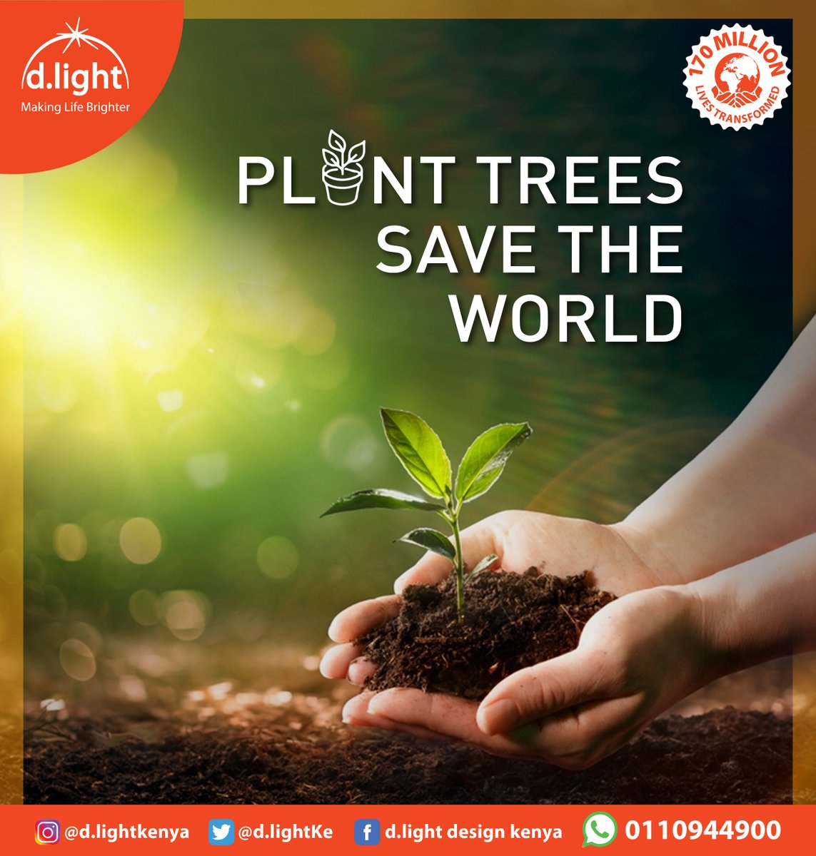 Join us as we honor Tree Planting Day and pay tribute to flood victims. Let's create a greener, more sustainable future together. 🌱🌍 #GreenInitiative #TreePlanting #FloodVictims #dlight