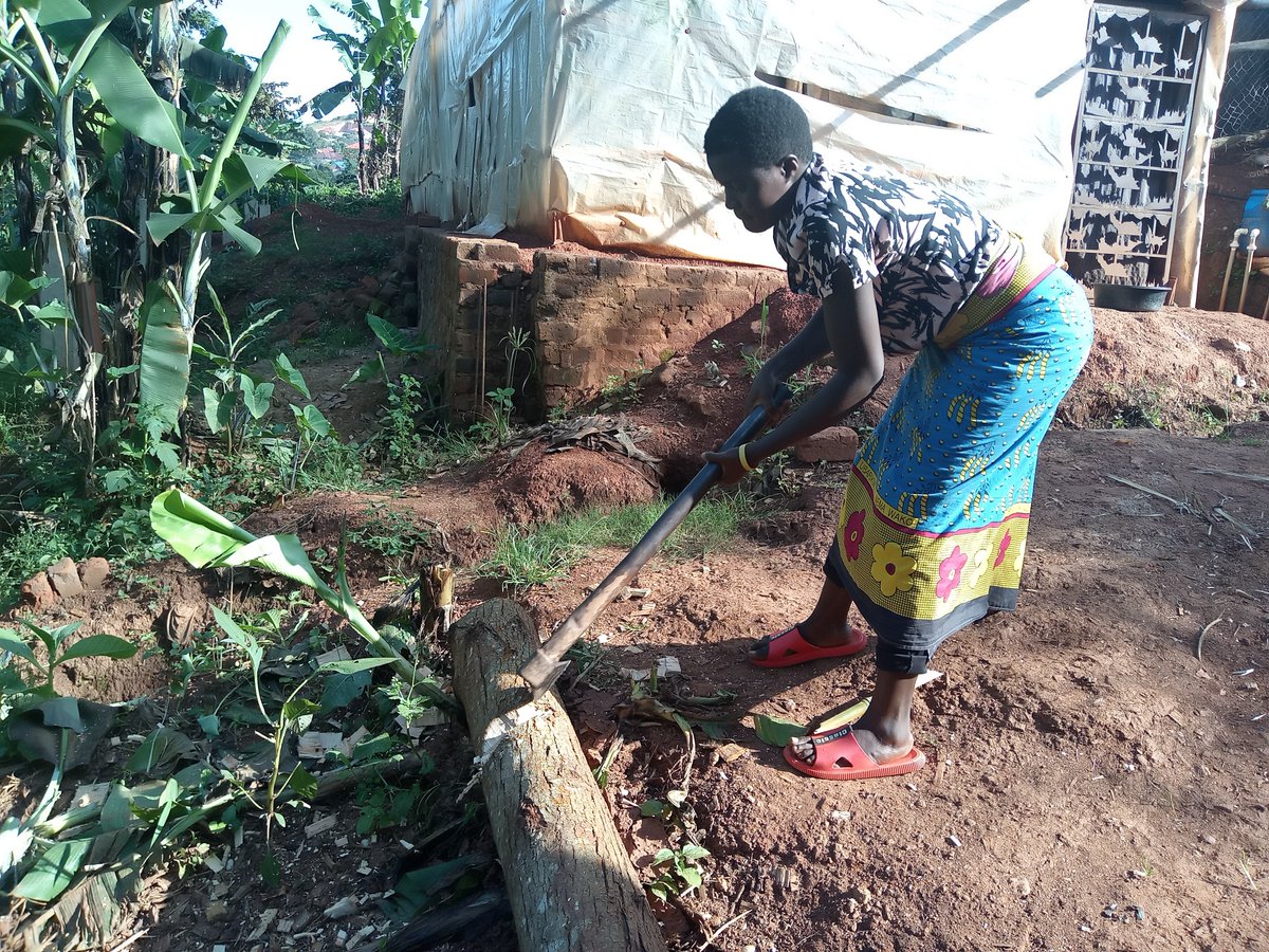 Fish farms in #Uganda currently depend on wood for #heating water. We are excited to be working on a pilot project using our #solar collectors to provide a more economical and environmentally friendly alternative. More to news come!
#sdg7 #ClimateAction #EnergyForTomorrow #energy