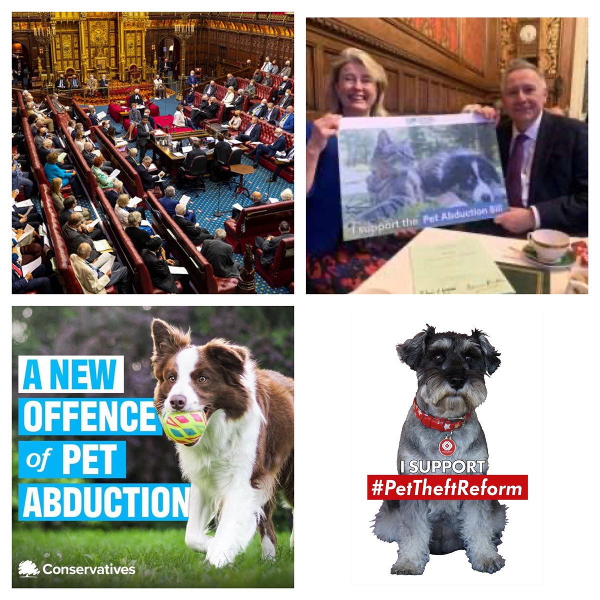 The #PetAbductionBill moves another step forward today 🙏🏻 2nd Reading @UKHouseofLords Thank you @Anna_Firth and Lord Black for your work on #PetAbduction We hope the Bill moves quickly to get onto the Statute Book Link to watch live: parliamentlive.tv/Event/Index/c3… #PetTheftReform