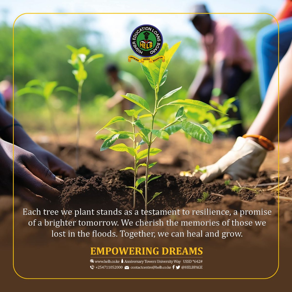 On this day, we recognize the importance of trees in anchoring our environment. To honour the departed, let's nurture nature and foster a world where communities thrive, and disasters are mitigated.