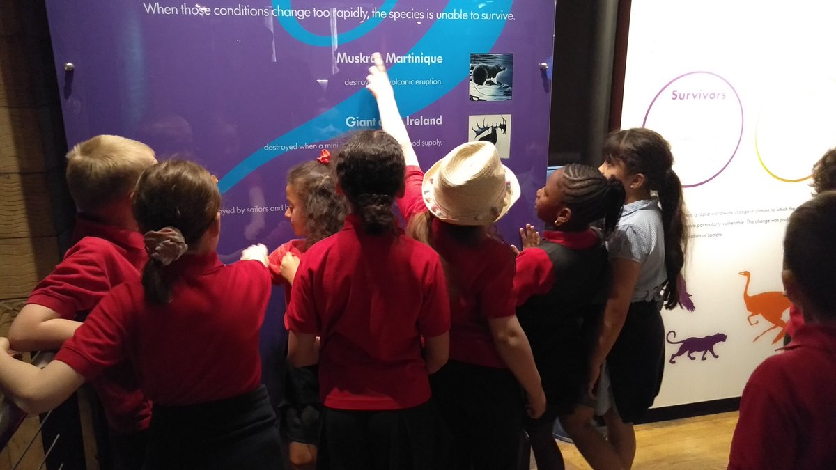 Exploring the past, shaping the future! Y4NS had an incredible time unraveling the mysteries of our planet's history at the Natural History Museum. Here's to sparking curiosity and fostering lifelong learning! 🌍🔍 #GrantonFamily #ExcellenceForAll #Leadingtheway  #NaturalHistory