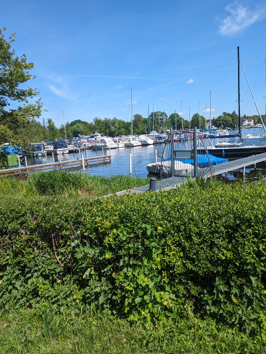 Berlin > Oranienburg is one of my favourite biking tour near #Berlin. It has many options along the way to explore. I made it to Liebenwalde and Neuholland. So pretty and bike lanes are so easy all the way. And easy to come back with the train 🚴🏾‍♂️🍻🍰🚂