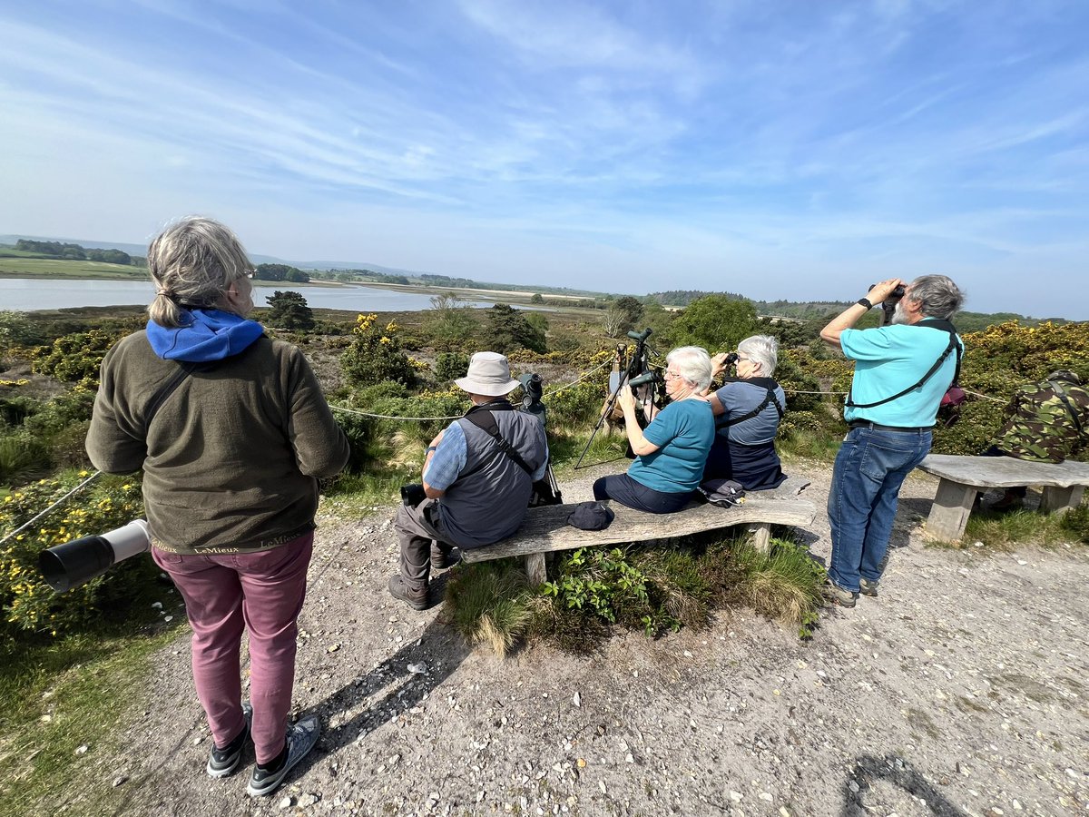 dougaldog's tweet photo. 10am 😎 Coombe VP @RSPBDorset with @kateplater visitors watching 
2 WTE flying N to S towards Corfe @harbourbirds @DorsetBirdClub https://t.co/II5zDHiGvu