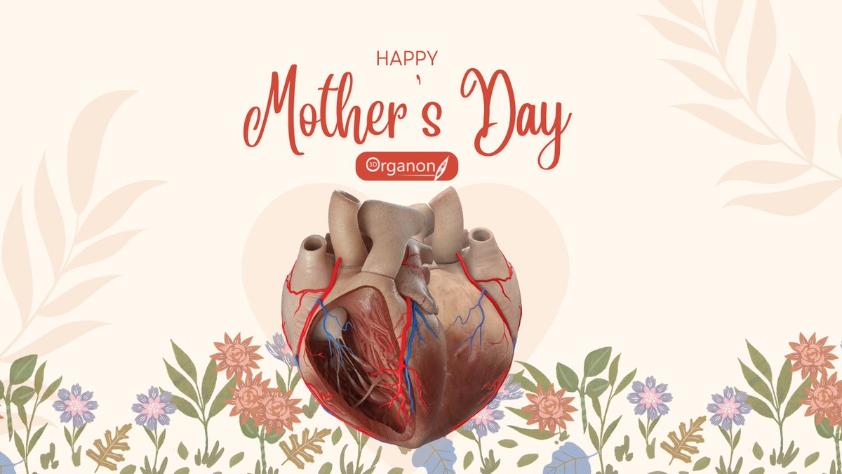 In honor of Mother’s Day, let’s express our gratitude to all mothers – biological, step, foster, adoptive – for their unwavering dedication and the vital role they play in our lives. Read more about the importance of motherhood: 3dorganon.com/mothers-day/ Happy Mother’s Day! 🌷
