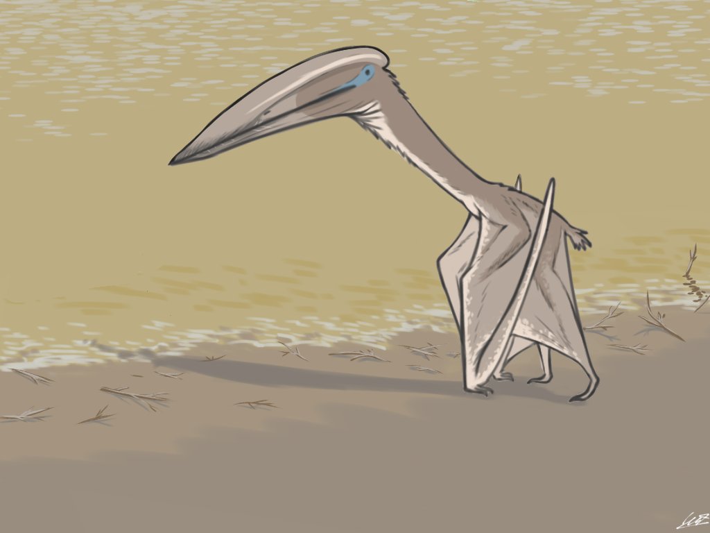 Hatzegopteryx, Hateg island's apex predator and one of the largest Pterosaurs ever lived

Pretty cool i said
#Hatzegopteryx #paleoart