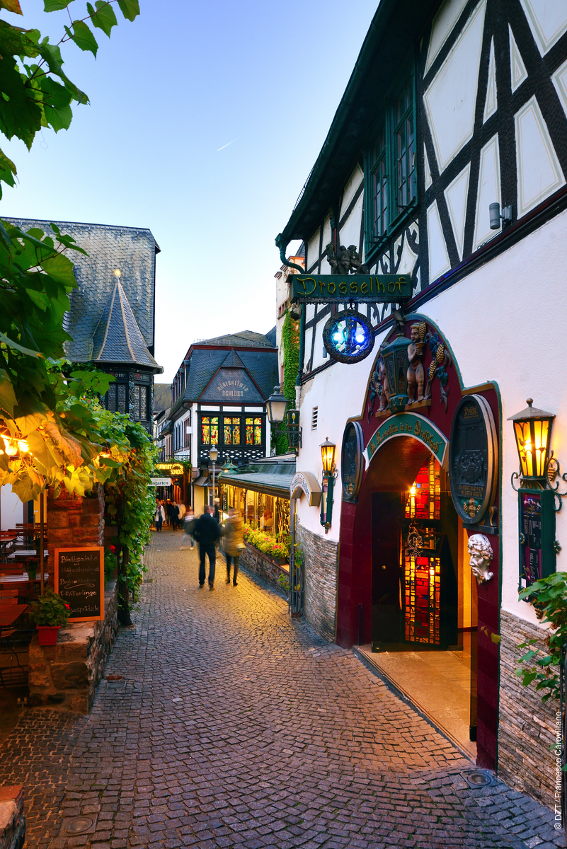 Have you ever been to the Drosselgasse in Rüdesheim? 🎶 And did you pick up any catchy German tunes while you were there? The Drosselgasse is a must-visit spot for its buzzing atmosphere, traditional taverns, wine, and non-stop German folk music!