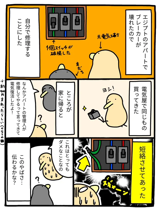 エジプトの電気がやばかった話 