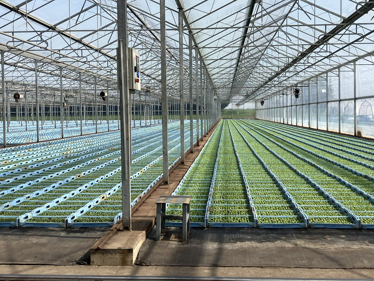 Jim Monaghan tweet media