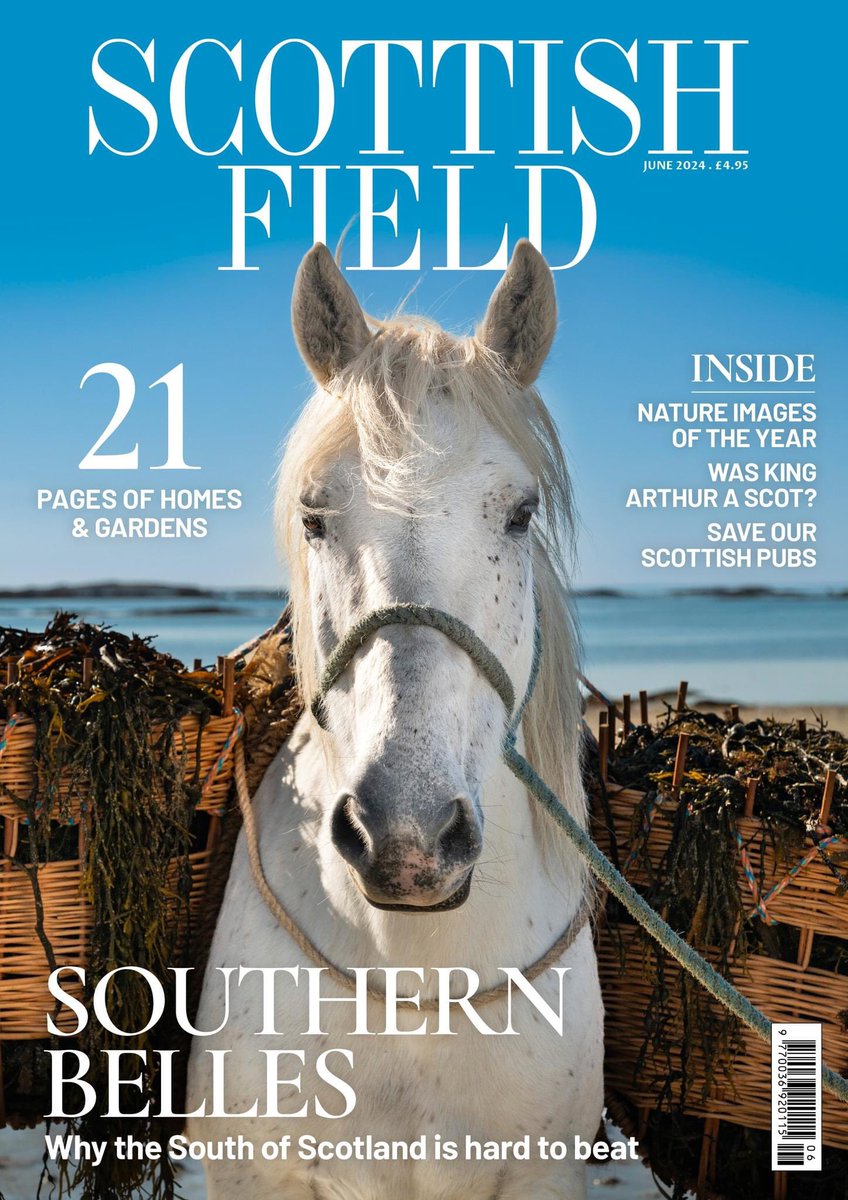 Really excited to have my photo of an #Eriskaypony as the cover of the @ScottishField 😍🐴 @EachNanEilean @RBSTrarebreeds