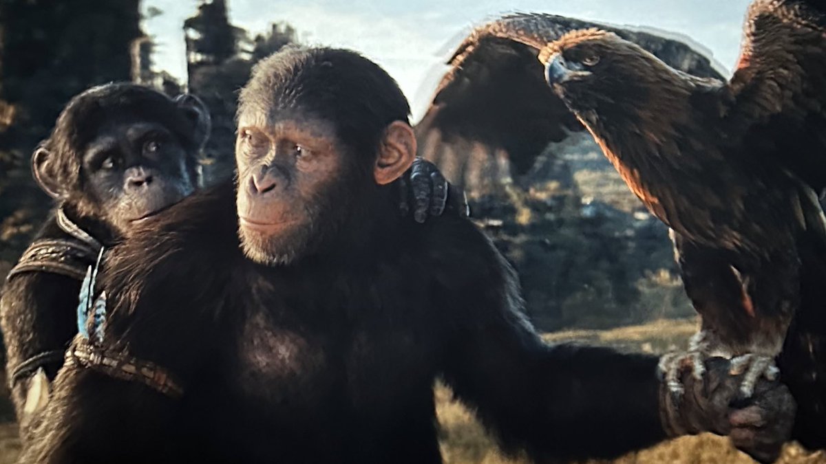 Planeta dos Macacos: O Reinado é um bom filme, excelente no seu visual, na sua fotografia, no CGI dos macacos e dos animais... porém ele é apenas bom, o que é distante da trilogia, que chega a beirar a excelência!