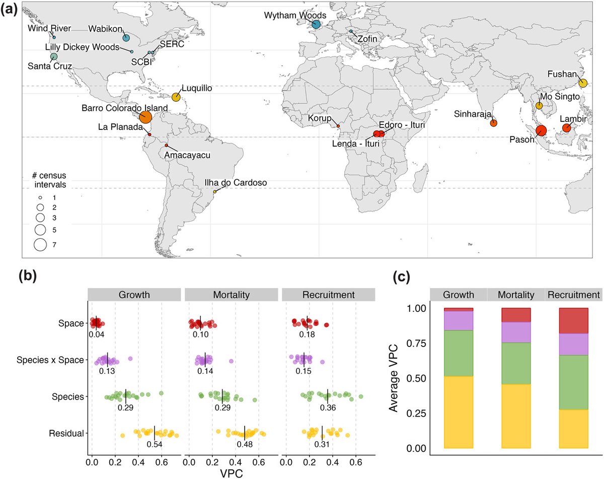 Ecography (@ecographyjourna) on Twitter photo Major axes of variation in tree demography across global forests nsojournals.onlinelibrary.wiley.com/doi/full/10.11… #models #demography #forest #trees <a href="/NordicOikos/">Nordic Society Oikos</a> <a href="/WileyEcolEvol/">Wiley Ecology & Evolution</a> Major axes of variation in tree demography across global forests nsojournals.onlinelibrary.wiley.com/doi/full/10.11… #models #demography #forest #trees <a href="/NordicOikos/">Nordic Society Oikos</a> <a href="/WileyEcolEvol/">Wiley Ecology & Evolution</a>