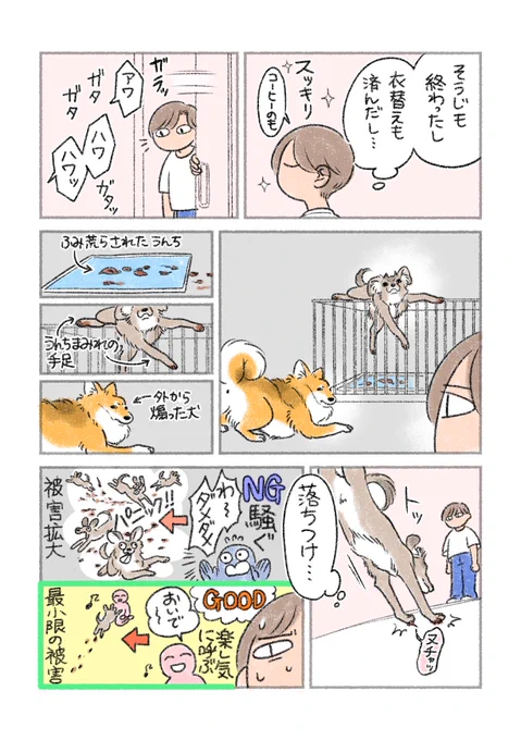 冷静な判断力 