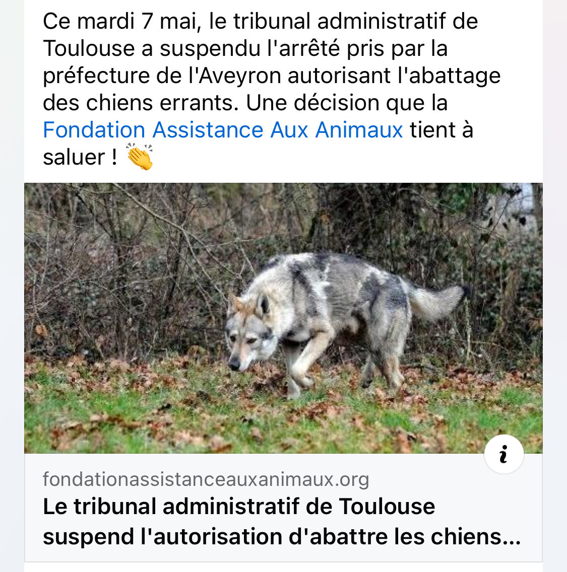 Ce mardi 7 mai, le tribunal administratif de Toulouse a suspendu l'arrêté pris par la préfecture de l'Aveyron autorisant l'abattage des chiens errants. Une décision que la Fondation Assistance Aux Animaux tient à saluer ! 👏 fondationassistanceauxanimaux.org/actu/tribunal-…