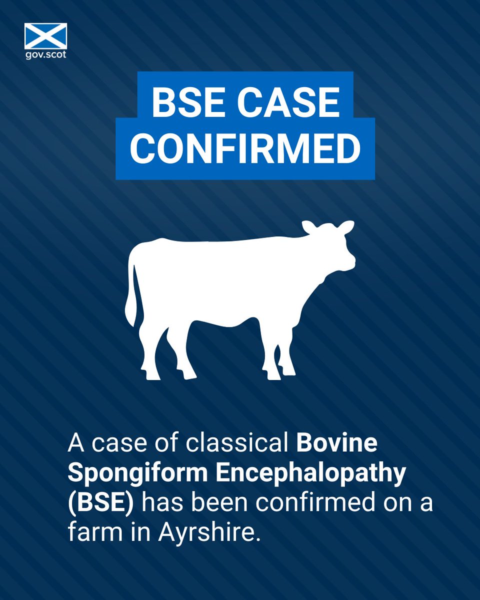 A case of Bovine Spongiform Encephalopathy (BSE) has been confirmed in Ayrshire. ➡️ Please see gov.scot/news/bse-1/ for more details.