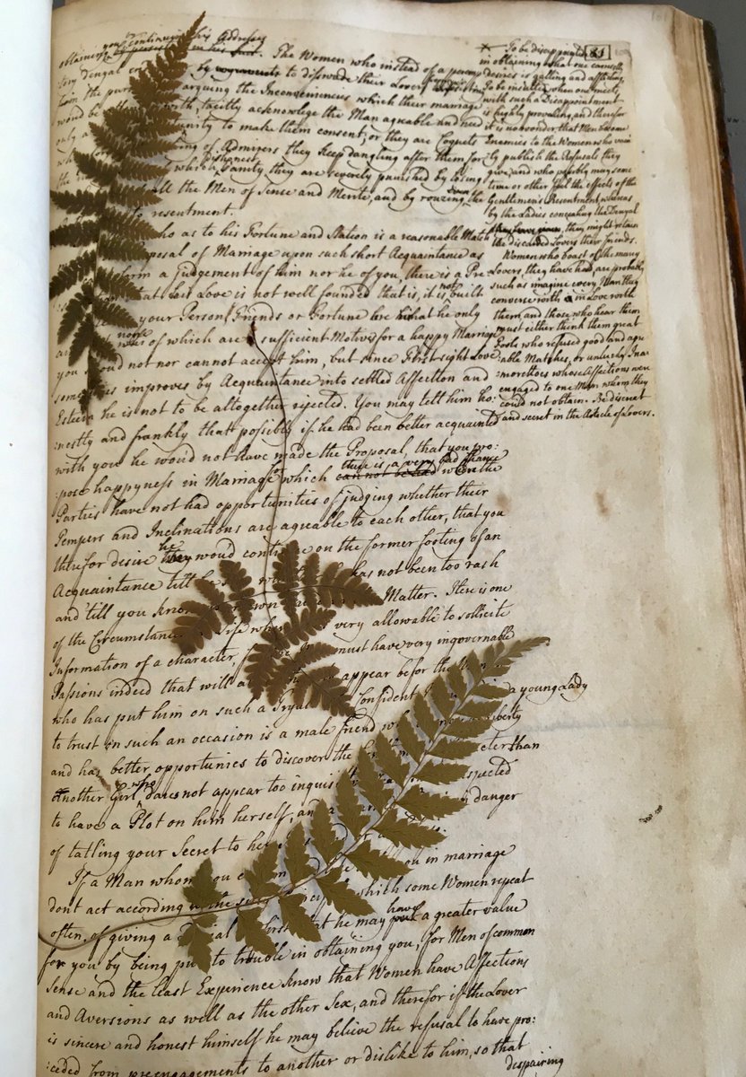 How lovely! Stumbled across these beautiful pressed fern leaves in an early 18th century #manuscript whilst researching at @natlibscot. I like to imagine young Margaret placing these in here 🌱 #TiesThatBind #History #Scotland #nature @BradArcForensic #research