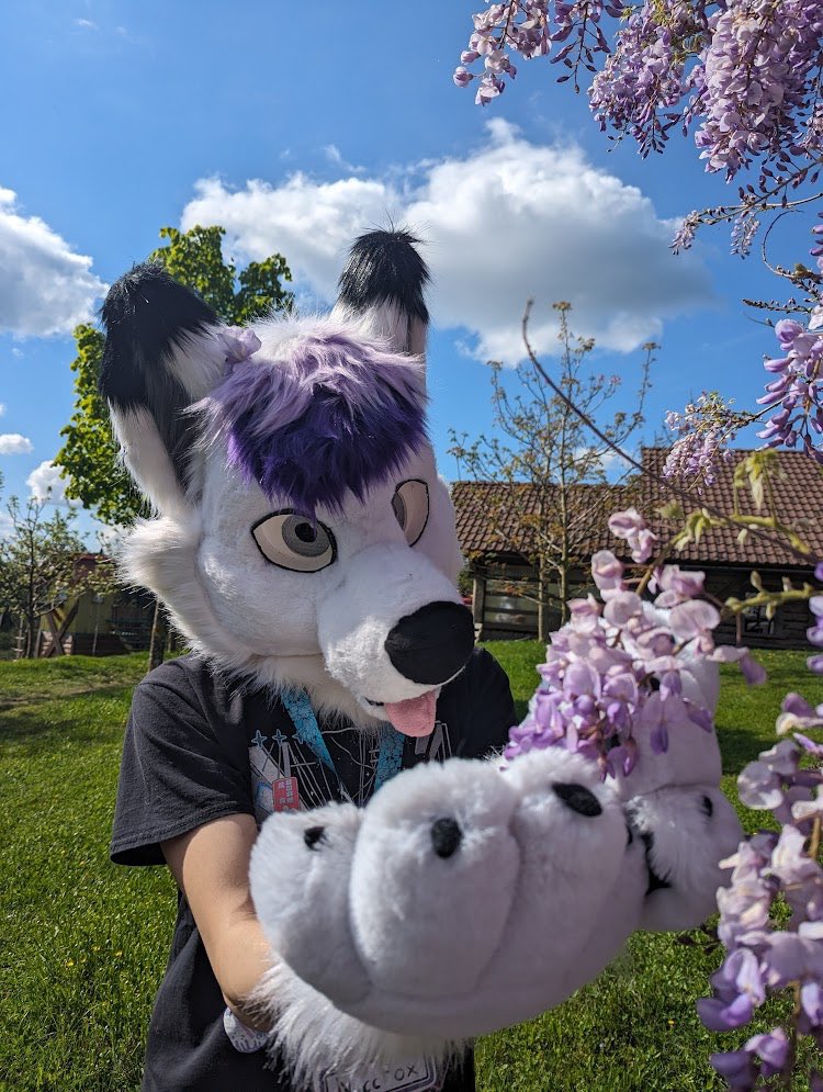 Fursuit Friday 👍 Also here , have this random flower . 📸@taru_draws