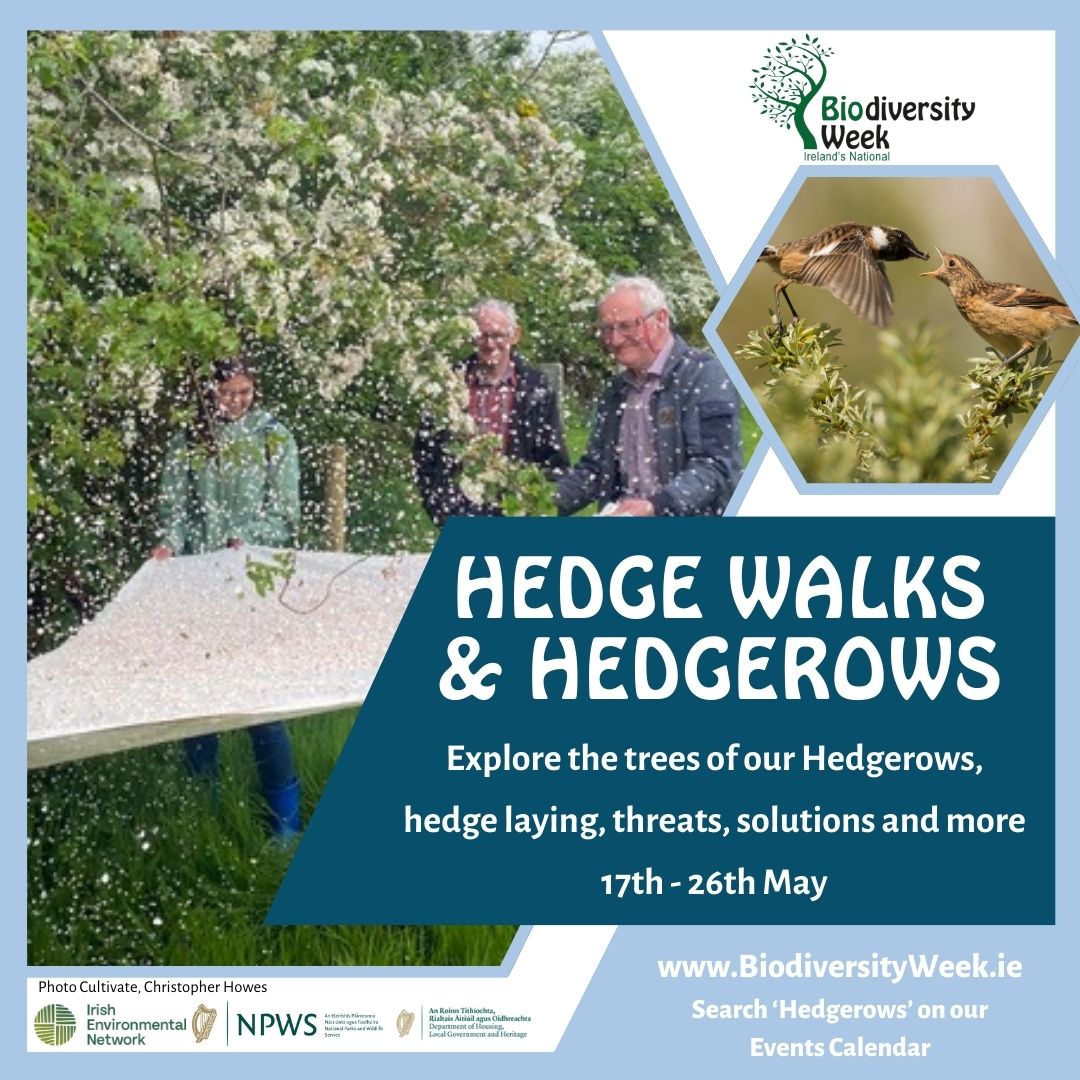 Coming up this Biodiversity Week! Book now to secure your place. Select 'Hedgerows' in the category dropdown to find an event near you: biodiversityweek.ie/events-calenda… #BiodiversityWeek2024