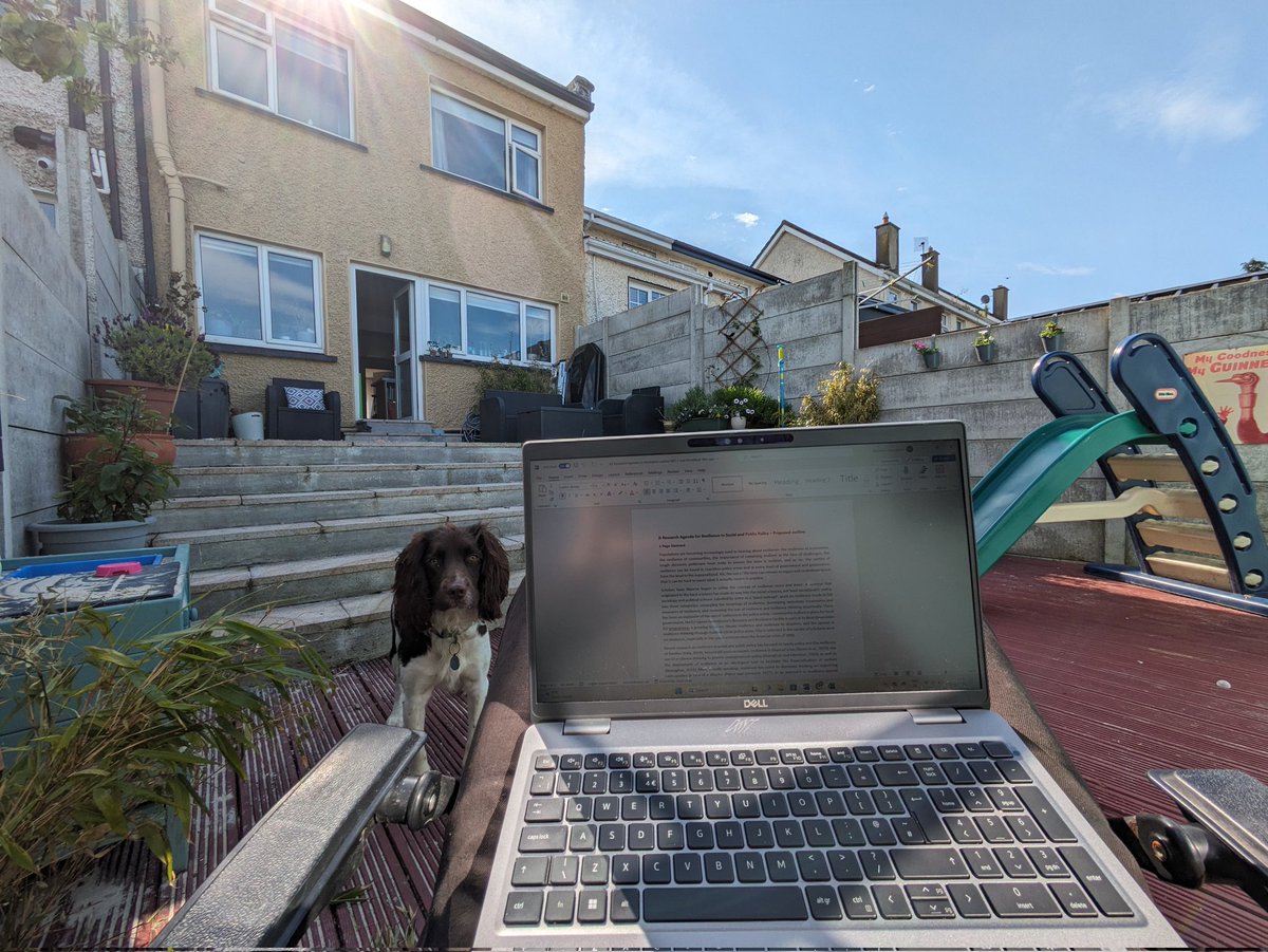 Actually working outside today in the Costa del Wicklow, while the dog tries to eat bamboo for some reason