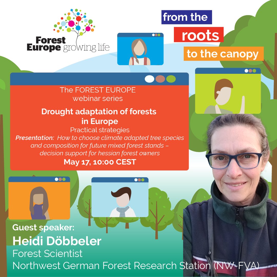 📅 #Webinar Alert! 👩🏻‍🔬 Get insights on “How to choose climate-adapted tree species and compositions for future mixed forest stands” from Heidi Döbbeler, #forest scientist at NW-FVA. Experiences from developing decision support for hessian forest owners. ➡️ forestdroughtadaptation.eventbrite.fi