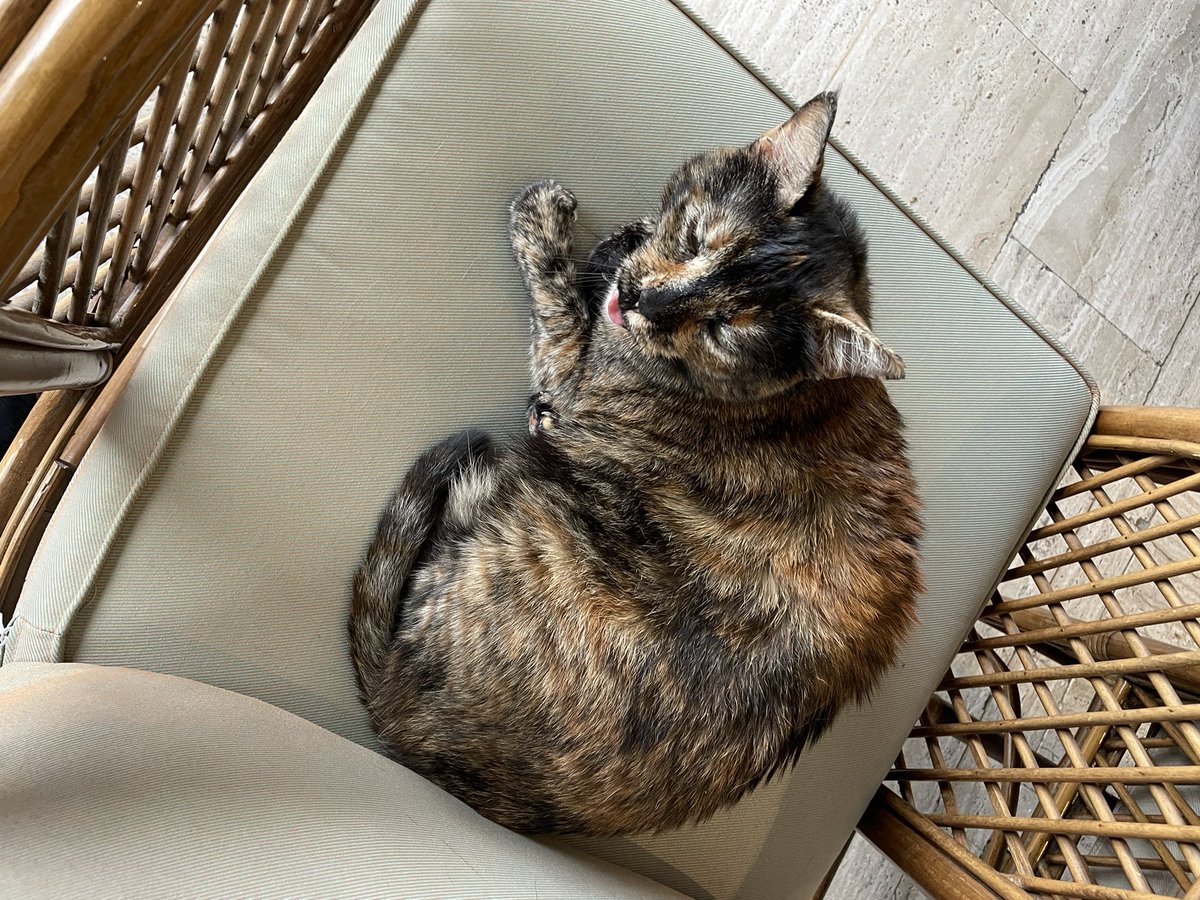 my favorite city. if you’re at <a href="/SolanaCrossroad/">Solana Crossroads ✨ ISTANBUL</a> lmk!