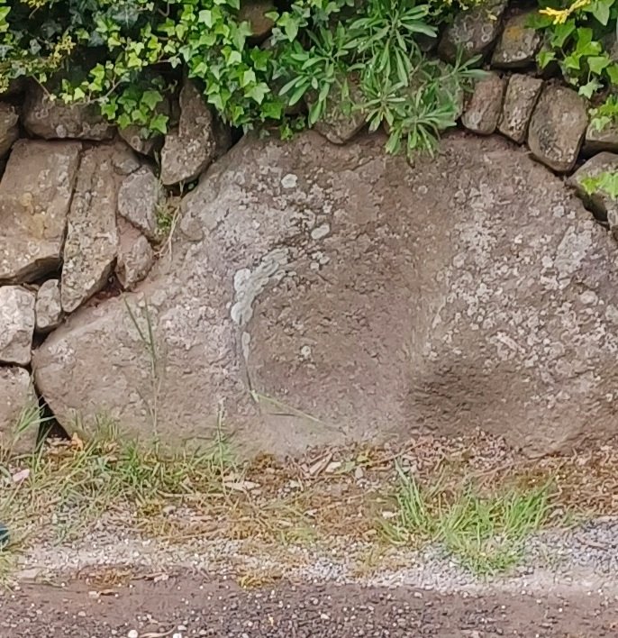 A bullaun stone built into a wall close to the early Kilrush Church ruins and graveyard on the outskirts of #Dungarvan. There is a record of an #Ogham stone found at the church in the 19th century but no sign of it today.
