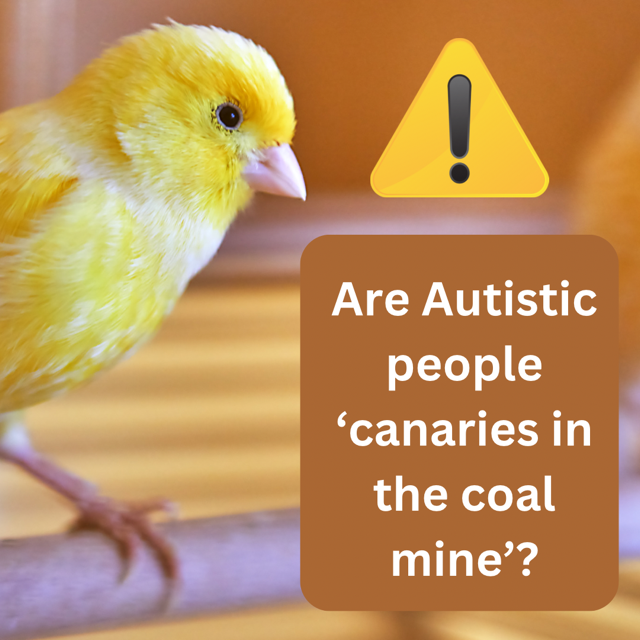 Autistic People ‘Canaries in the coal mine’? By Jane McNeice mindmatterstraining.co.uk/autistics-cana… #Autistic #Autism #neurodivergent #neurodivergentgifts #empathy #patternseekers #patternspotting