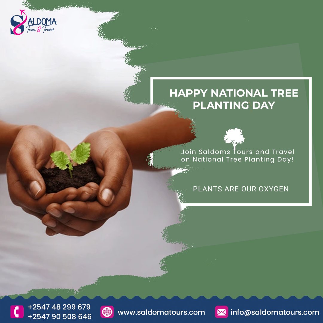 Like trees enriching landscapes, we cultivate sustainable travel experiences that leave a positive footprint. Join us in planting the seeds of eco-conscious exploration on #NationalTreePlantingDay. 

Let's travel responsibly together! #SustainableJourneys #GreenAdventure