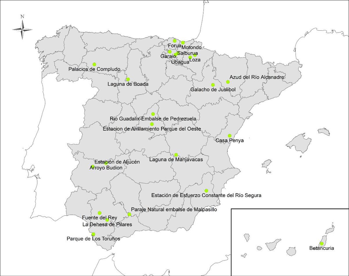 🦩En el día mundial de las aves migratorias, abrimos nuestras puertas

Estaremos en 24 estaciones de anillamiento y os mostraremos cómo estudiamos nuestras aves.

Busca tu estación más cercana!

+INFO aranzadi.eus/anillamiento-c…

#75aniversario #ring #diadelasavesmigratorias #aves