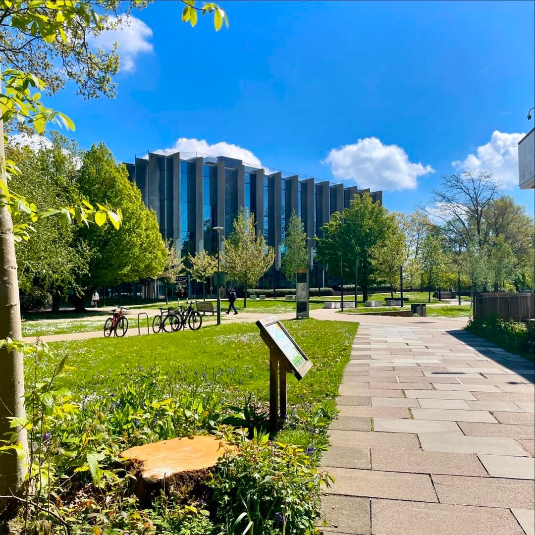 Campus in the spring sunshine 👌 📸 katelynscanterburytales on IG