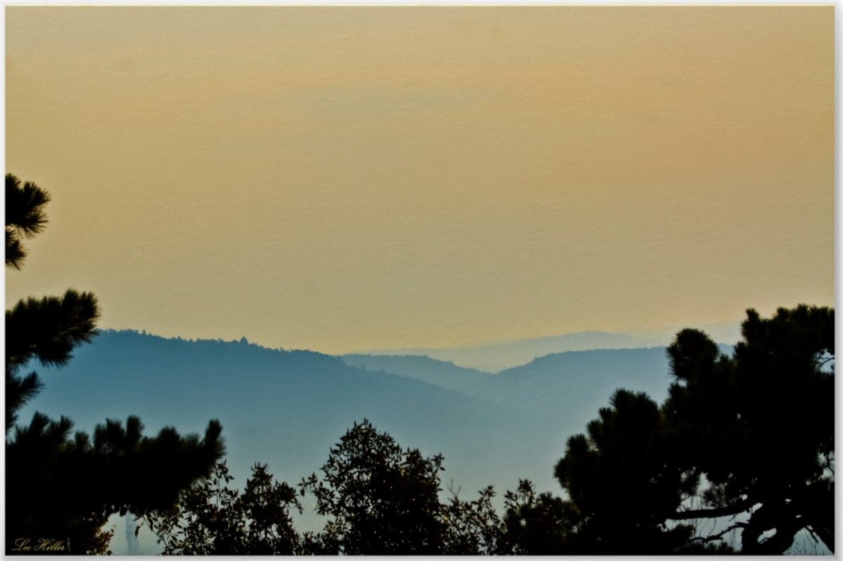 ⛅🌱🌄🌿❄🗻🌏
Foggy Mountains #surreal  Lemon #Sunrise #poster      
zazzle.com/foggy_mountain…

#Posters #art #PhotographyIsArt #photography  #giftideas #gifts #onlineshopping #wallartforsale  #homedecor #shopsmall #wallart #homedecor #homedecoration #smallbiz