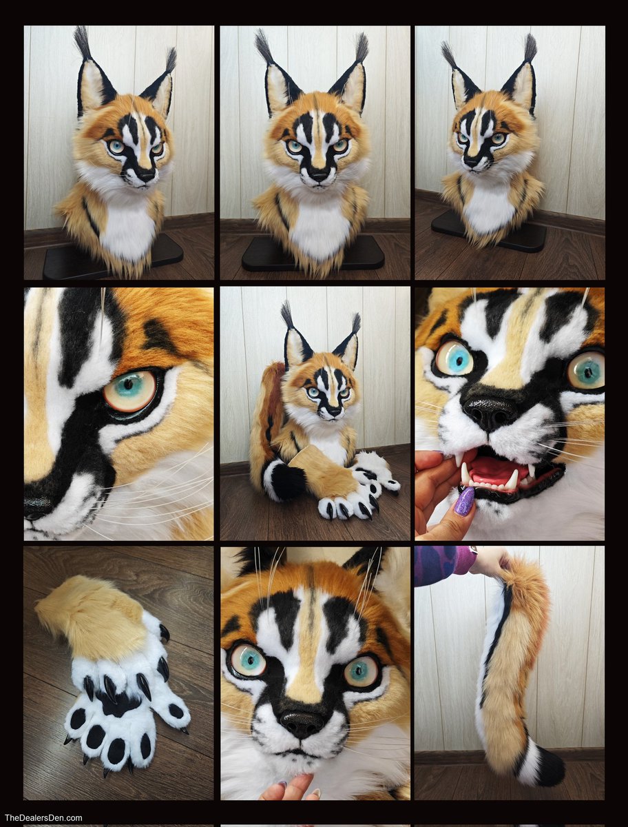 Caracal cat partial fursuit on <a href="/TheDealersDen/">The Dealers Den</a> now in #FursuitFriday
You can find it here thedealersden.com/other-items/an…

#furry  #FursuitEverday #fursuiter #sale #fursuitsale #Fursuit