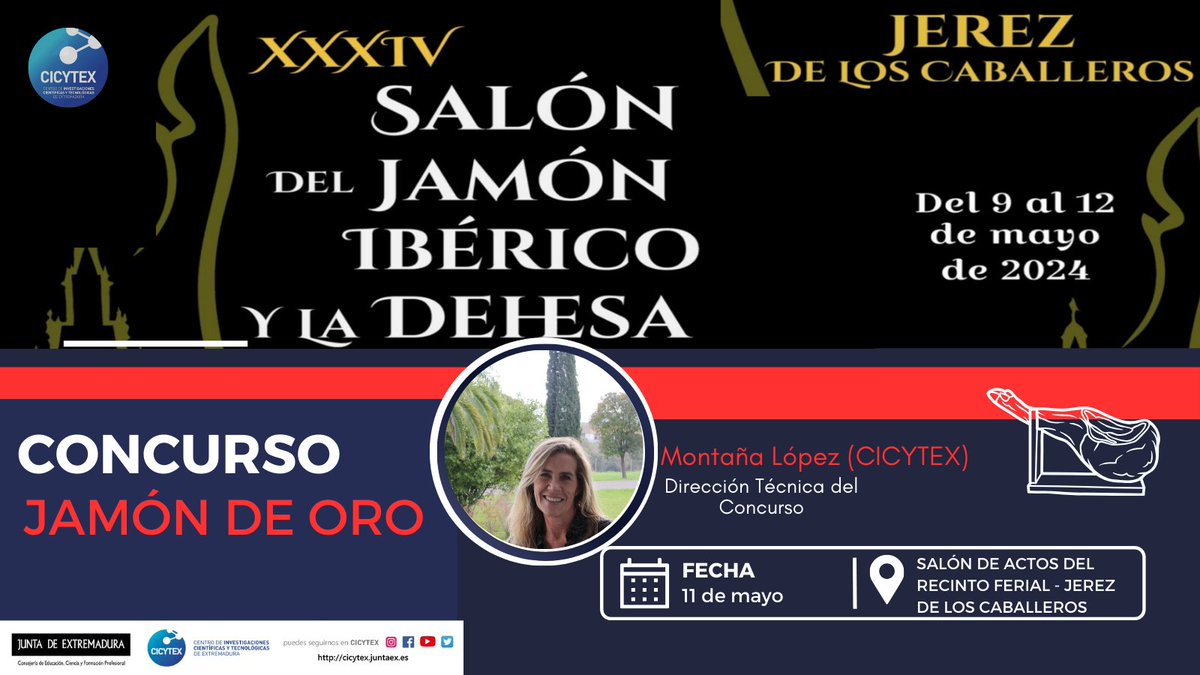 🙋‍♀️Este fin de semana se celebra el XXXIV Salón del Jamón Ibérico de Jerez de los Caballeros🐷 👉Una de las actividades es el Concurso Jamón de Oro🥇 👩‍🔬Con la dirección técnica de @CICYTEX 🧐Toda la info cicytex.juntaex.es/es/-/concurso-…