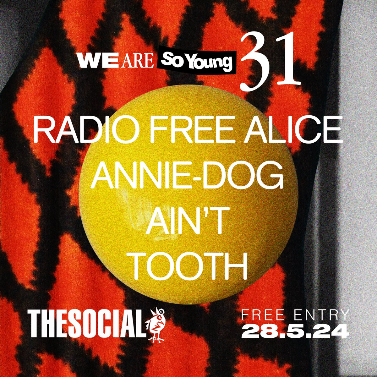 NEW SHOW 👀 We Are So Young 3⃣1⃣ FREE ENTRY at The Social, London. Radio Free Alice Annie-Dog Ain't Tooth @dicefm tickets: link.dice.fm/ybab3d75e547