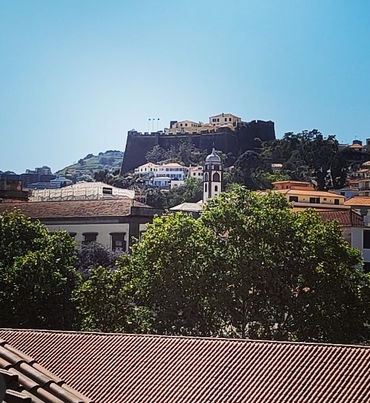 Happy Friday! 🌞
The fortress from a different angle.
#FortalezaDoPico 🏰 #SãoJoãoBaptistaFortress
#Funchal