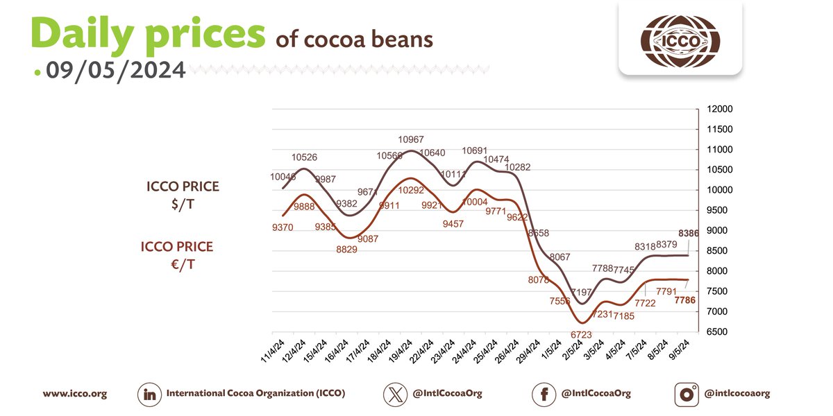 🔴 09/05/2024 #Cocoa Daily Prices - Prix du jour - Precios diarios - Ежедневные цены 💵 ICCO daily price - 8385.61 $/T 💶 ICCO daily price - 7785.62 €/T More #cocoa statistical info in our webpage🔗bit.ly/36Ad74r #ICCOCocoaHub #ICCOCocoaData #ICCOCocoaKnowledge