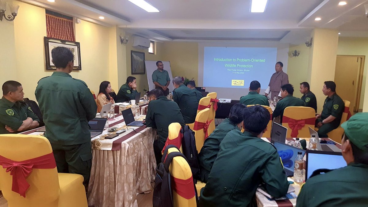 In collaboration with @PantheraCats, we coordinated a training on Problem-Oriented Wildlife Protection (POWP) to key staff of the Divisional Forest Office in Paro. Participants learned to analyze challenges and create tailored conservation plans, with a focus on prevention