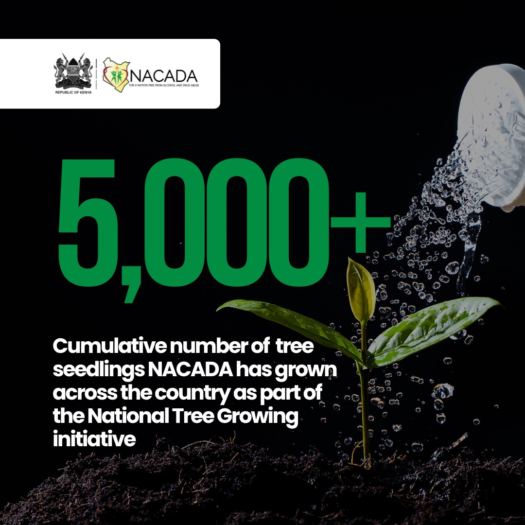 NACADAKenya's tweet image. #SoberHoliday #TreePlantingDay