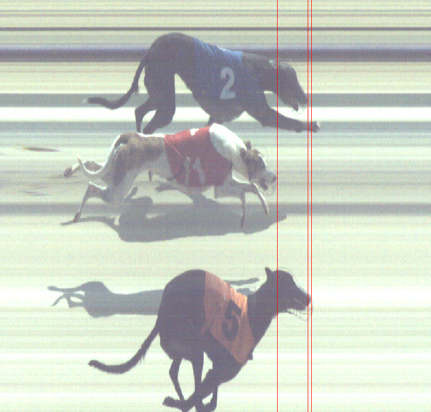Photo finish of Race 1 1st place - T5 - Doona Dixie 2nd place - T2 - Sporting Pegasus 3rd place - T1 - Minstrels Twelve