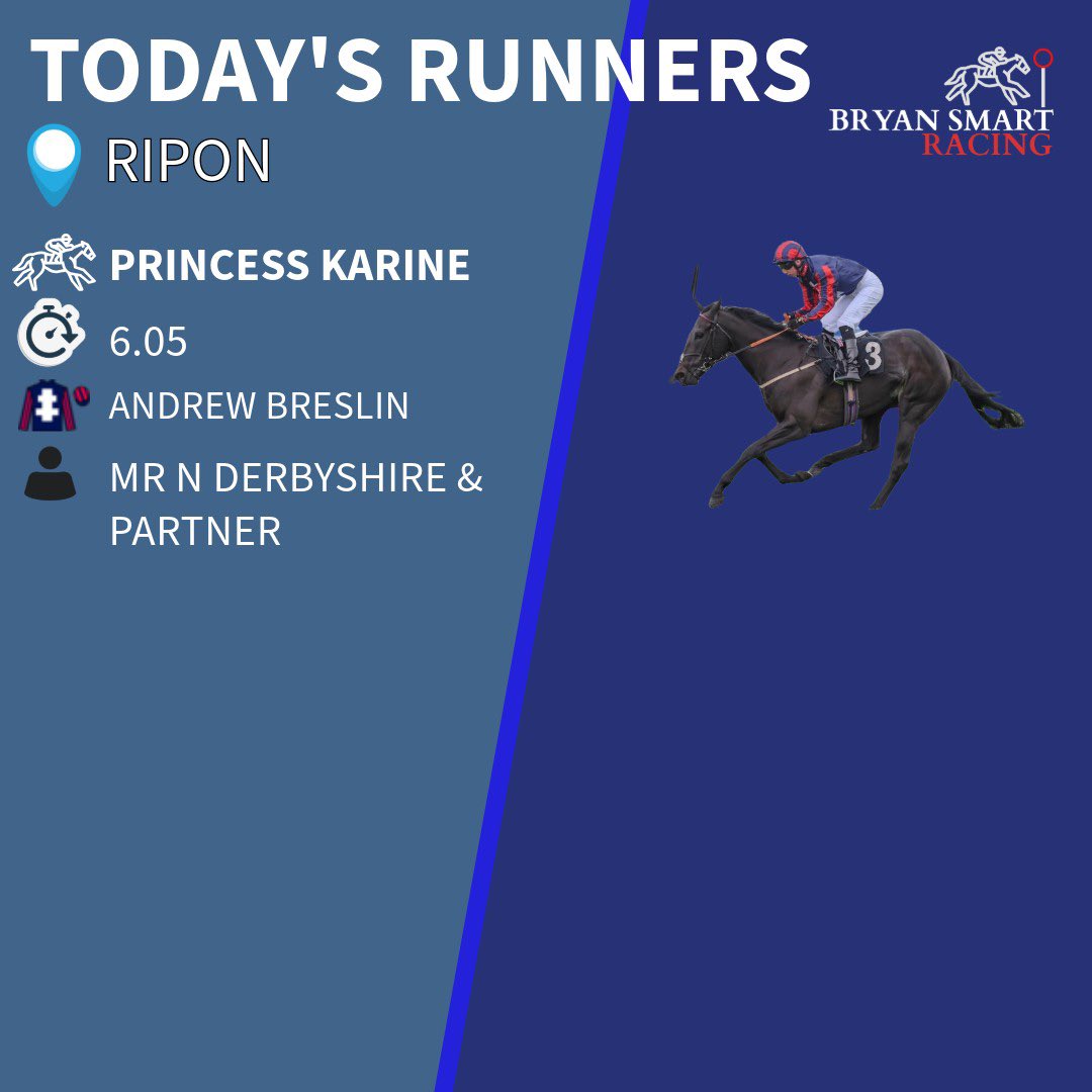 Princess Karine runs this evening at Ripon. Good luck on all connections! #TeamSmart