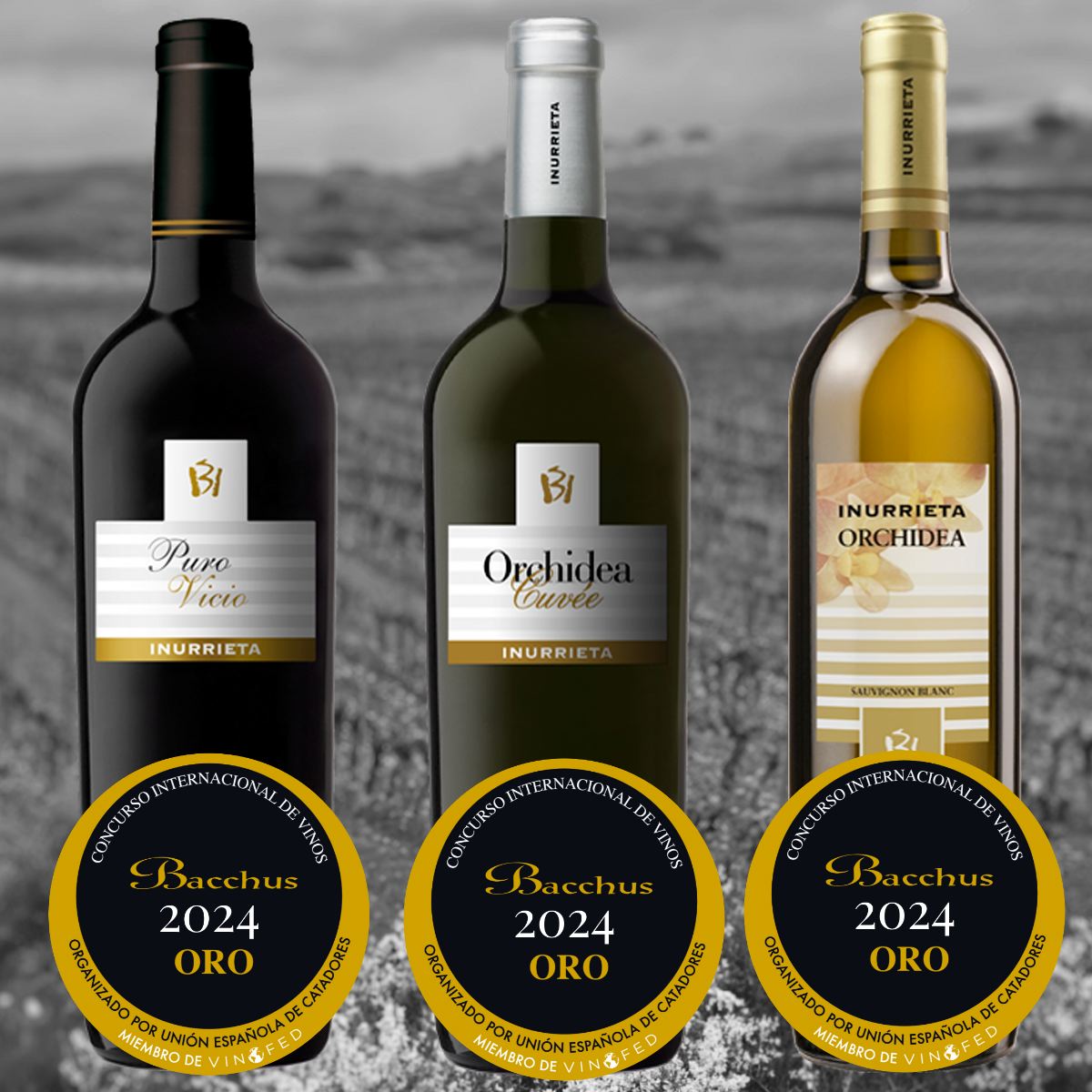 Tres Bacchus de Oro para #BodegaInurrieta  

El Concurso Bacchus es uno de los certámenes vinícolas más importantes a nivel mundial y un sello de calidad ampliamente reconocido en el sector. Organizado por la Unión Española de Catadores, es  uno de los más exigentes a nivel