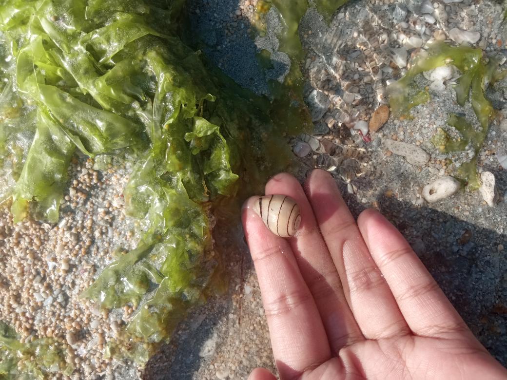 bubulac_'s tweet image. 