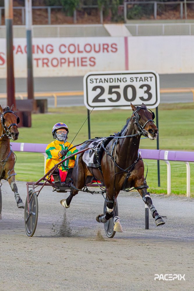 Franco Encore at big odds defies the competition in the opener! #GloucesterPark | 📸: @Pacepix_Au