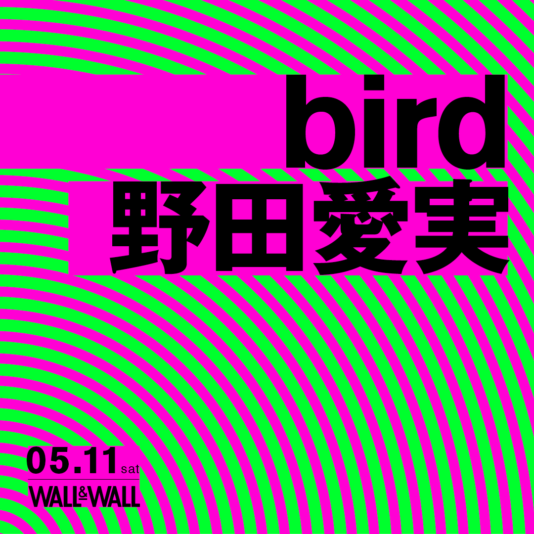 WALLWALLTOKYO's tweet photo. 明日開催！
【MONDO GROSSOとの「LIFE」など名曲を歌い上げ続けるbirdと、地上波ドラマのエンディング曲抜擢など活躍の幅を広げる野田愛実のツーマンLIVEが決定。】

明日まで前売り券販売！
https://t.co/ZuxyLTeQSD

@birdwatchnet 
@emiko_n617 https://t.co/5iV8enBbKX