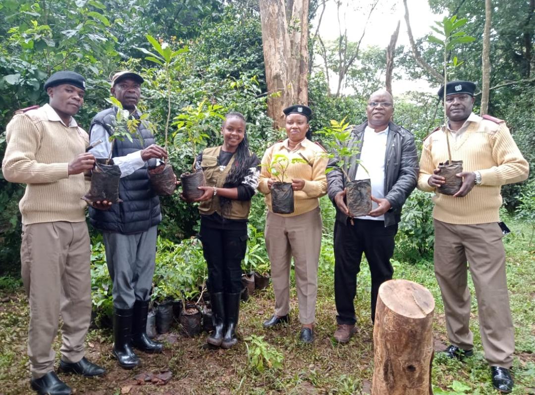 'Planting trees isn't only an act of environmental stewardship but also a declaration of human rights,ensuring a sustainable future for generations to come amidst the challenges of climate change.' Dr. Bernard Mogesa, CEO(second right) @HakiKNCHR during the tree planting at Bomas
